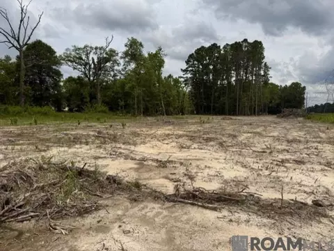 11402 Maxwell Dr, Walker, LA 70785 photo 6