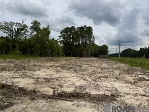 11402 Maxwell Dr, Walker, LA 70785 photo 2