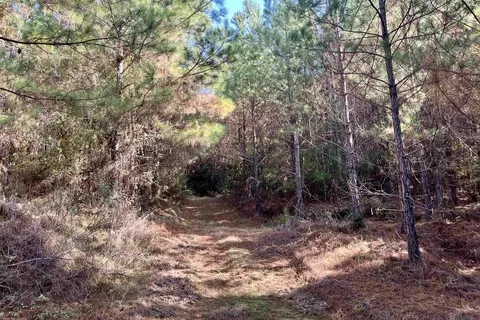 05 Stampley Rd, Roxie, MS 39661 photo 34