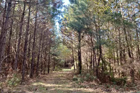 05 Stampley Rd, Roxie, MS 39661 photo 33