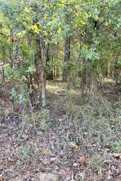 05 Stampley Rd, Roxie, MS 39661 photo 21