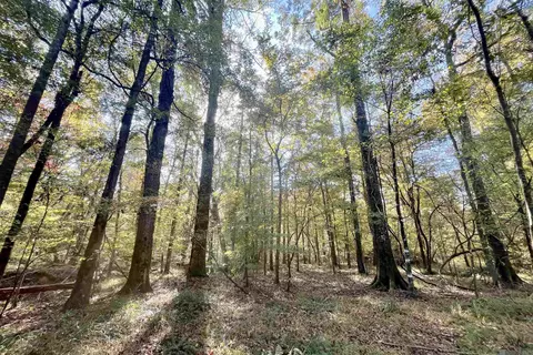 05 Stampley Rd, Roxie, MS 39661 photo 6
