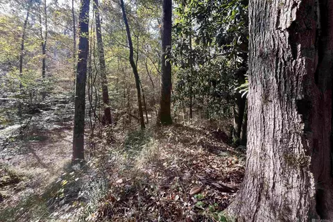 05 Stampley Rd, Roxie, MS 39661 photo 18