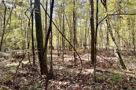 05 Stampley Rd, Roxie, MS 39661 photo 27