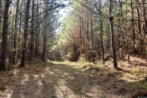 05 Stampley Rd, Roxie, MS 39661 photo 28