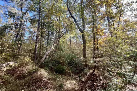 05 Stampley Rd, Roxie, MS 39661 photo 20