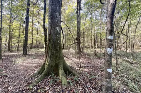 05 Stampley Rd, Roxie, MS 39661 photo 9
