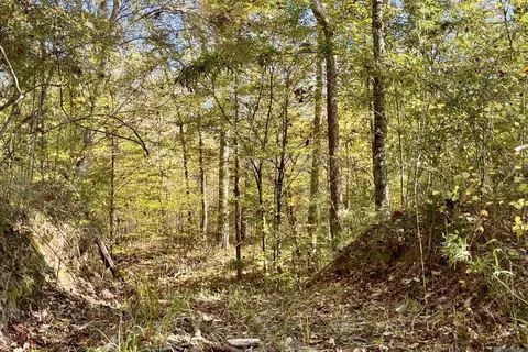 05 Stampley Rd, Roxie, MS 39661 photo 32
