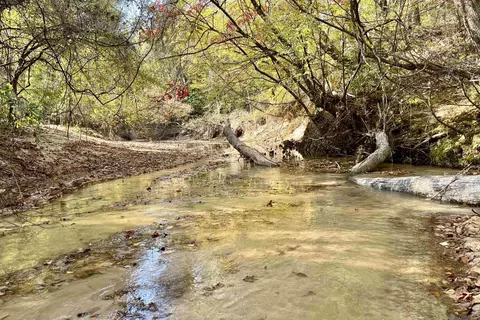 05 Stampley Rd, Roxie, MS 39661 photo 2