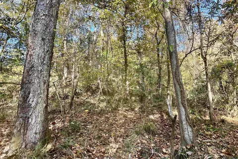 05 Stampley Rd, Roxie, MS 39661 photo 10