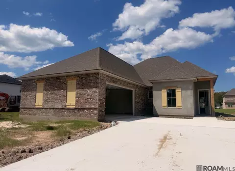 21425 Bluefin Dr, Springfield, LA 70462