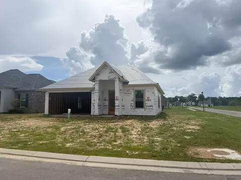 15241 Hazelwood Ct, Prairieville, LA 70769