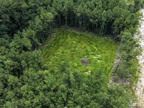 17249 Jack Allen Rd, Livingston, LA 70754