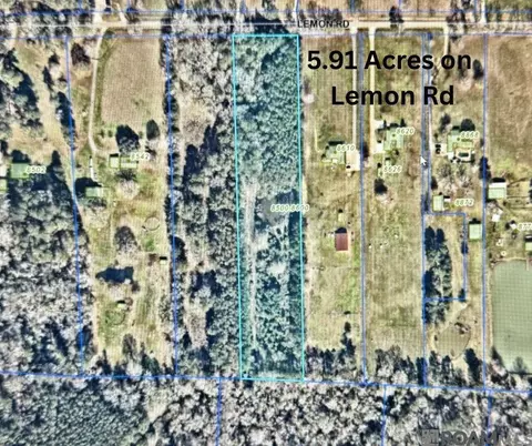tbd Lemon Rd, Slaughter, LA 70777