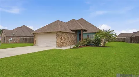 25305 White Lake Ave, Livingston, LA 70754