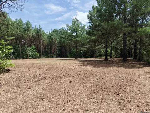 Tract A Jackson Rd, Kentwood, LA 70444