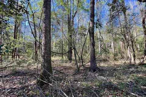 40 Lillian Ln, Ethel, LA 70730