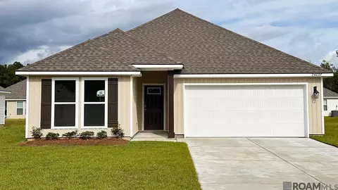 24697 Berry Ridge Ln, Springfield, LA 70462