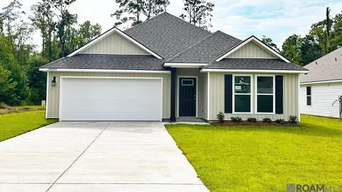 24692 Berry Ridge Ln, Springfield, LA 70462