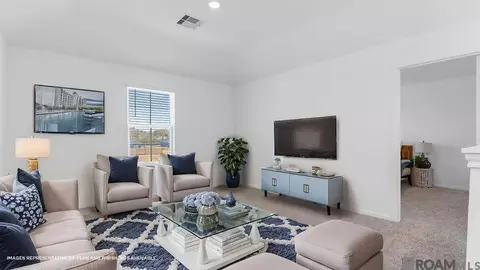 Other - 12670 Nightshade Ave, Walker, LA 70785 photo 4 of 5