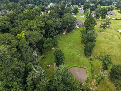 View/Area - 12060 Clanton Dr, Walker, LA 70785 photo 3 of 5