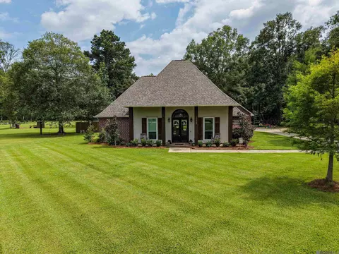 Exterior - 12060 Clanton Dr, Walker, LA 70785 photo 8 of 8