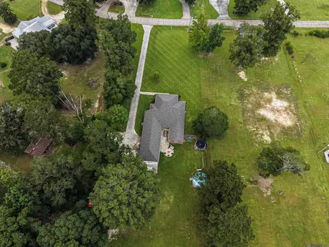 View/Area - 12060 Clanton Dr, Walker, LA 70785 photo 1 of 5