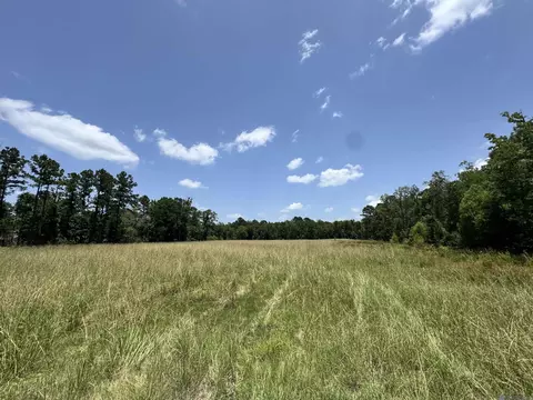 27554 S Frost Rd, Livingston, LA 70754