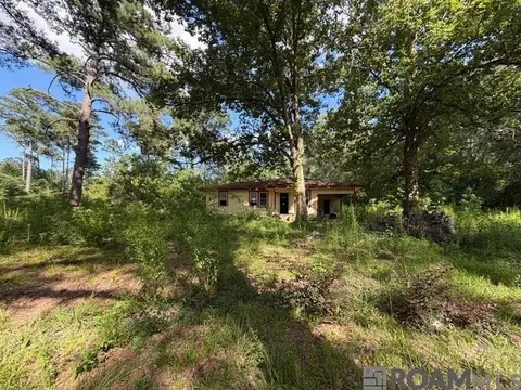 30260 N Doyle Rd, Holden, LA 70744