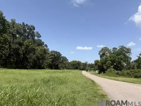 12140 Boudreau St, New Roads, LA 70760