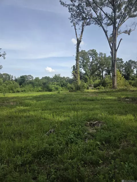360 Perry Ct, Woodville, MS 39669