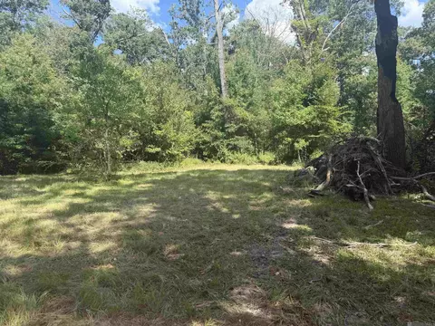 12050 Mockingbird Ln, Walker, LA 70785 photo 4