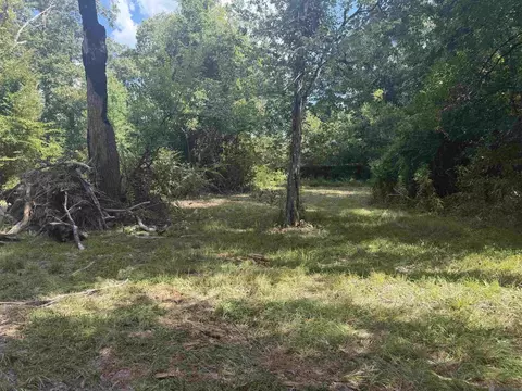 12050 Mockingbird Ln, Walker, LA 70785 photo 3