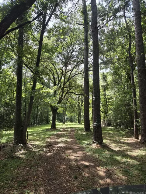 tbd Blackmore Rd, Saint Francisville, LA 70775
