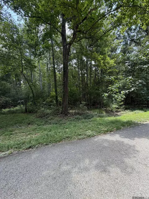 Jones Vaughn Creek Rd, Saint Francisville, LA 70775