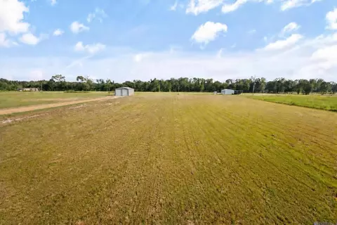 21262 Mayberry Ln, Livingston, LA 70754