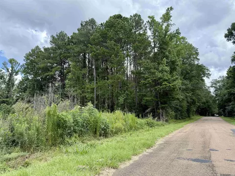 2194 Ms Hwy 570, Summit, MS 39666 photo 9