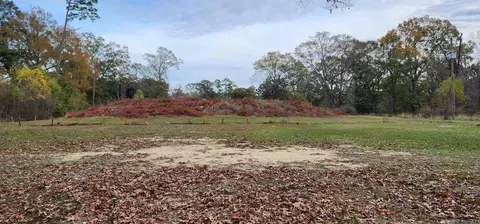 945 S River Rd, Denham Springs, LA 70726