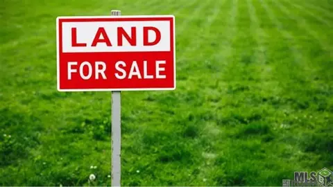 18487 Settlement Trce, Livingston, LA 70754