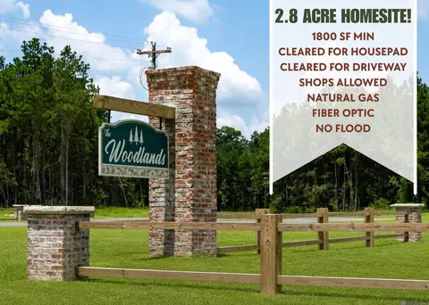 18913 Honey Grv, Livingston, LA 70754