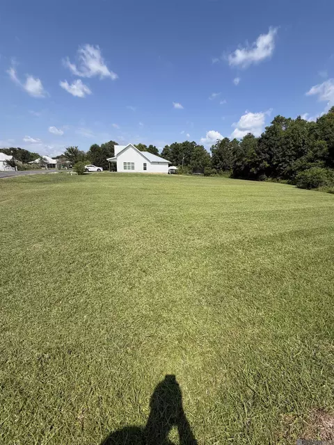 Riverscape Dr, Springfield, LA 70462 photo 6