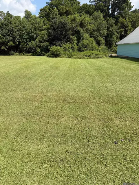 Riverscape Dr, Springfield, LA 70462 photo 5