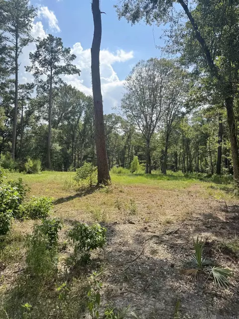 22863 Green Acres Blvd, Denham Springs, LA 70726