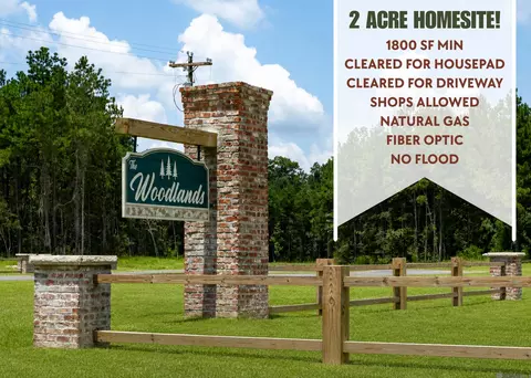 18969 Honey Grv, Livingston, LA 70754