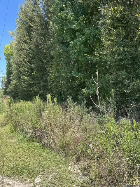 38375 La Hwy 979, Prairieville, LA 70769