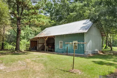 Other - 31430 Cane Market Rd, Walker, LA 70785 photo 9 of 9