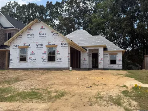 36130 Belle Parc Ave, Geismar, LA 70734