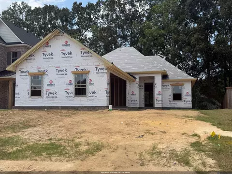 36130 Belle Parc Ave, Geismar, LA 70734