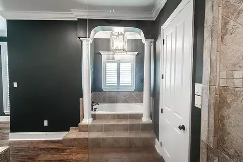 Bath - 21495 Yellowfin Dr, Springfield, LA 70462 photo 3 of 9