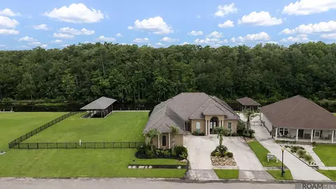 View/Area - 21495 Yellowfin Dr, Springfield, LA 70462 photo 2 of 5